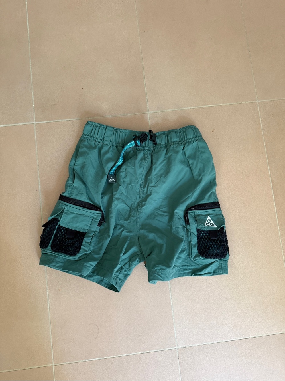 Nike ACG Cargo Shorts